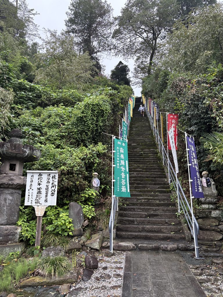 116段の階段（上り）