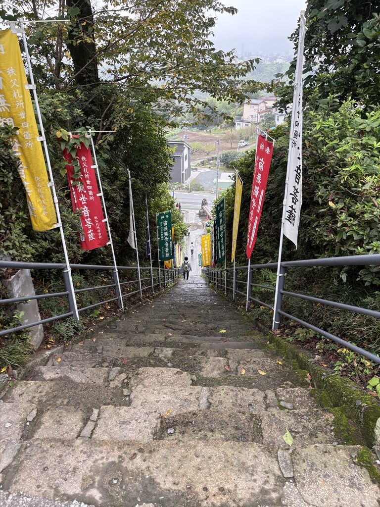 116段の階段（下り）